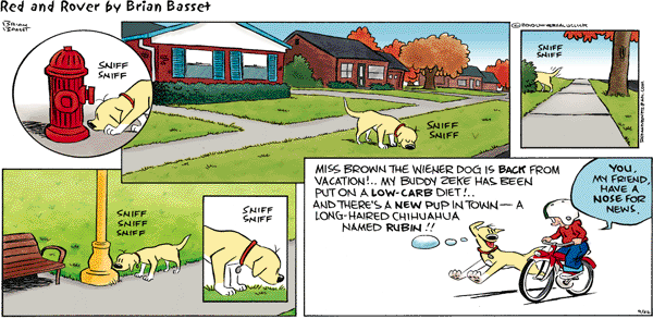 Today on Red and Rover - Comics by Brian Basset - GoComics